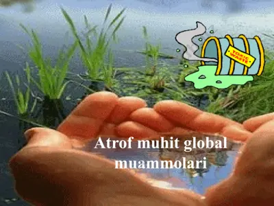 atrof muhit global muammolari — ZIP
