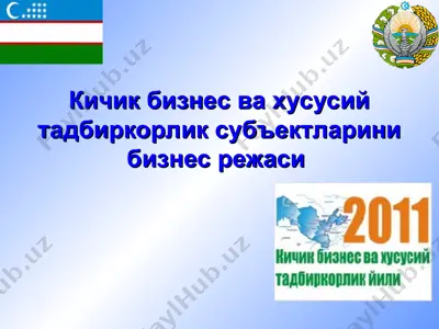 кичик бизнес ва хусусий тадбиркорлик субъектларини бизнес режаси — PPT