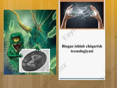 biogaz ishlab chiqarish texnologiyasi — PPTX
