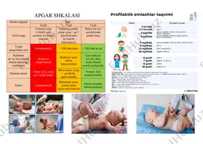 apgar shkalasi — DOCX