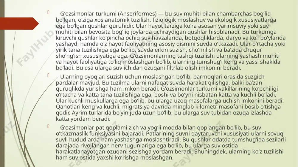 ol o‘ynaydi. shu bois, bu turkum vakillarini o‘rganish, ularni kuzatish va asrash bugungi ekologik vazifalarning muhim tarkibiy qismi bo‘lib qolmoqda. gʻozsimonlar turkumining biologik va ekologik xususiyatlari gʻozsimonlar turkumi vakillari biologik va ekologik jihatdan nihoyatda rang-barang hamda murakkab tizimli xususiyatlarga ega. ularning yashash muhiti, ovqatlanish rejimi, ko‘payish biologiyasi, migratsiya xususiyatlari va ekotizimdagi roli har tomonlama o‘ziga xoslik kasb etgan. bu turkumga mansub qushlar asosan suvli hududlar bilan bog‘liq hayot kechirar ekan, ularning organizmi ana shu muhityashash sharoitlariga mukammal tarzda moslashgan. gʻozsimonlar ko‘pincha daryo va ko‘llar, botqoqliklar, suv omborlari, dengiz bo‘ylari va suv o‘tlariga boy hududlarda yashaydi. bunday joylar ularning ozuqa topishi, juftlashuvi va xavfsizligi uchun qulay sharoitlar yaratadi. ularning biologik xususiyatlaridan biri bu qulay fiziologik tuzilishga egaligidir. gʻozsimonlarning yurak-qon tomir va nafas olish tizimi kuchli rivojlangan bo‘lib, bu ularga uzoq masofalarga parvoz qilishda, sovuq sharoitlarda yashashda va suv ostida harakatlanishda yordam beradi. ular sovuq iqlim sharoitlariga chidamli bo‘lib, shimoliy kengliklardagi hududlarda …