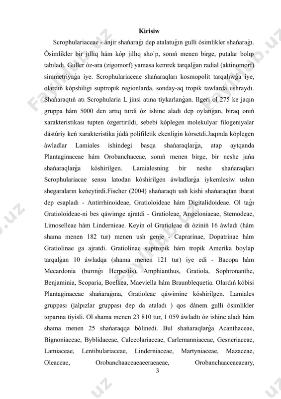 . lamiaceae (lamiaceae) gruppaındaǵı ósimlik túrleri evdikotlar bolıp, o'tsiyaqli yamasa paqali aǵashsiyaqli. lamiallarda zigomorf gu`ller keń tarqalǵan bolıp, joqarı erinli eki gúldiń japıraǵılı, tómengi erni bolsa ush gúldiń japıraǵınan ibarat boladı, biraq aktinomorf guller de ushraydı. lamiaceae tártibindegi ósimlik túrleri besew stamensge iye, biraq olardıń sanı ádetde eki yamasa tórtewge shekem azayadı. lamiallar, sonıń menen birge, máyekda`nge birikken, ádetde eki karpeldi óz ishine alǵan bir qamtım payda etedi. lamialaceae gruppasınıń máyekda`nine tiykarlanıp, joqarıraqlari baqlanadı.lamyalesning topgulleri, ádetde, topguller, shaqshalar yamasa masaqlar retinde qaraladı. lamiaceae (lamiaceae) gruppasindaǵı mıywe túri ádetde ajralatug`in kapsula bolıp tabıladı. lamiallarda bezli túkler bar. lamiales rejimin dúnya boylap derlik barlıq túrdegi jasaw jaylarında tabıw múmkin. bul jasaw jaylarına ormanlar, oypatlıqlar, otlaqlar, taslaq jerler, jambır ormanlar, tropikler, suptropik regionlar, batpaqlıqlar, qıraqlar hám hátte muzlagan aymaqlar kiredi. bir qatar góshxor ósimlikler túrleri lamiale, lentibulariaceae hám byblidaceae shańaraqlarında ushraydı. lamialeslar gruppasında, atap aytqanda, martyniaceae shańaraǵında proto-góshxor ósimlikler túrleri de tabılǵan. parazit …