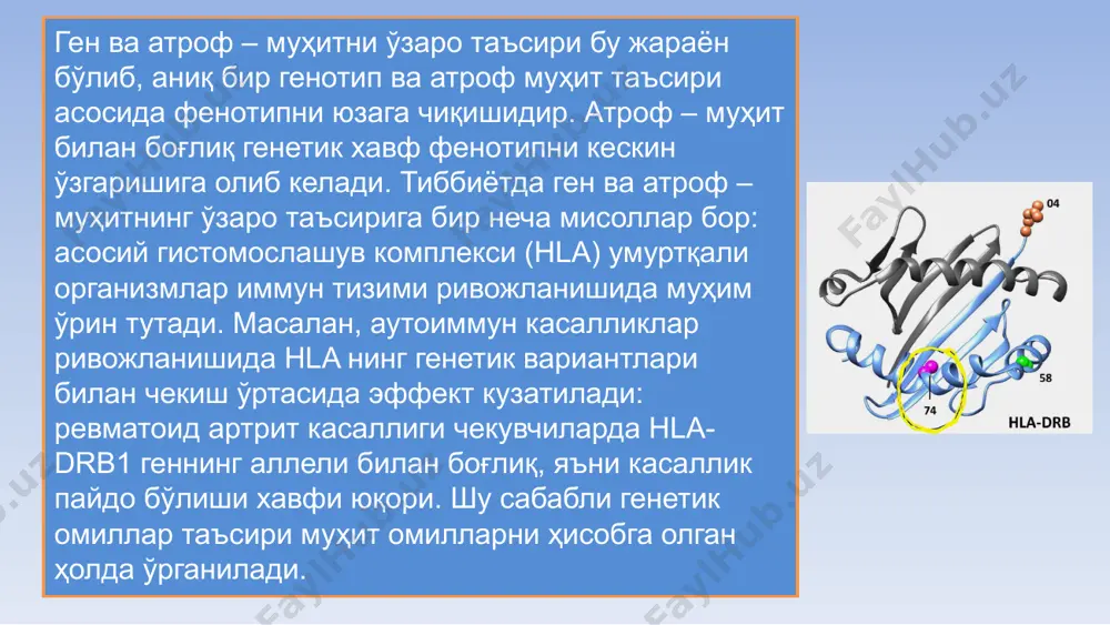 ради . иккинчи қалқон – шиллиқ қаватлардир нафас йўллари орқали организмга ҳар хил кимё ва саноат чиқиндилари, автомобил чиқинди газлари, далаларга сепилаётган пестицидлар, тамаки тутунлари, маиший препаратлар аерозол кўринишида тушади. уларнинг таркибида ҳар хил газли мутагенлар бўлиб, улар буруннинг ўзида унинг шиллиқ қаватига таъсир эта бошлайди. буруннинг шиллиқ қавати қон билан жуда яхши таъминланган бўлиб, шу сабабли мутагенларнинг бир қисми шиллиқ қават орқали қонга тушади. қолган қисми эса ўпкага бориб, у орқали қонга тушади. қон оқими бўйлаб қон ва лимфа системаси мутагенларни тўқима ва органларнинг ҳужайраларига олиб борувчи йўл ҳисобланади. қон билан ҳаракатланаётган зарарли моддалар қоннинг бирикмалари билан (кўпроқ албумин оқсили билан ) бирикиб қолади. натижада қондаги мутаген консентрацияси камаяди, аммо оқсиллар билан бириккан мутаген ўзини парчаланишдан сақлаб қолади ва бундай боғланиш баъзи ҳолларда ҳужайра қобиғи орқали мутагенларни унинг ичига ўтишига имкон беради. плазматик мембрана орқали ситоплазмага ўтган мутаген ҳар хил кимёвий реакцияларга киришиб, ҳужайра фаоллигини камайтиради ёки кучайтиради. ядро …