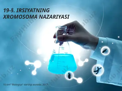 irsiyatning xromosoma nazariyasi. 10 - sinf — PPTX