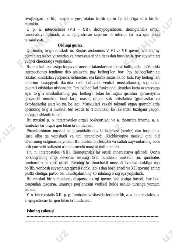 intercostales (vii - xii), iliohypogastricus, ilioinguinalis orqali innervatsiya qilinadi, a. a. epigastricae superior et inferior lar esa qon bilan ta’minlaydi. oldingi gurux. qorinning to`gri muskuli in. rectus abdominis v-vi va vii qovurg`alar tog`ay qismining tashqi yuzasidan va processus xiphoideus dan boshlanib, qov suyagining yuqori chekkasiga yopishadi. bu muskul uzunasiga baquvvat muskul tutamlaridan iborat bolib, uch –to`rt erida intersectiones tendinae deb ataluvchi pay belbog`lari bor. pay belbog`larining ikkitasi kindikdan yuqorida, uchinchisi esa kindik soxasida bo`ladi. pay belbog`lari embrion taraqqiyoti davrida xosil boluvchi ventral muskullarning segmentar takomil etishidan nishonadir. pay belbog`lari funksional jixatdan katta axamiyatga ega; to`g`ri muskullarning pay belbog`i bilan bo`lingan qismlari ayrim-ayrim qisqarishi mumkin, buni ko`p mashq qilgan sirk artistlarida (gimnastlar va akrobatlarda) aniq ko`rsa bo`ladi. muskullari yaxshi takomil etgan sportchilarda qorinning to`g`ri muskuli teri ostida to`rt burchakli bo`laklardan tuzilgani yaqqol ko`zga tashlanib turadi. bu muskul p. p. intercostales orqali boshqariladi va a. thoracica interna, a. a. lumbales lar orqali …