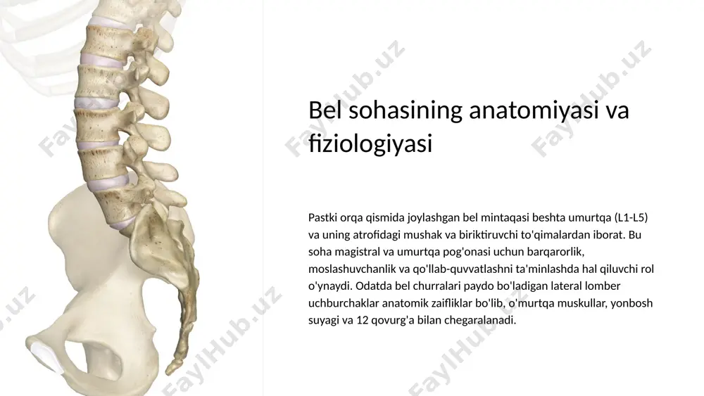 l churrasi bo'lgan bemorlar uchun konservativ davo maqsadga muvofiq bo'lishi mumkin. bunga quyidagilar kiradi: faoliyatni o'zgartirish: keyingi churra paydo bo'lishining oldini olish uchun og'ir harakatlardan va og'ir narsalarni ko'tarishdan saqlaning. og'riqni boshqarish: noqulaylikni engillashtirish uchun retseptsiz dori-darmonlarni qo'llash, muz yoki issiqlikni qo'llash va jismoniy terapiya. og'irlikni yo'qotish: qorin bo'shlig'i bosimini va qorin devoridagi kuchlanishni kamaytirish uchun tana vaznini kamaytirish. ushbu noinvaziv yondashuvlar ba'zi bemorlar uchun etarli bo'lishi mumkin, ammo og'irroq yoki simptomatik churralar ko'pincha jarrohlik aralashuvni talab qiladi. 5 ochiq jarrohlik ta'mirlash usullari an'anaviy ochiq jarrohlik ta'mirlash lomber churralarni davolashning keng tarqalgan usuli hisoblanadi. ushbu usul churra nuqsoniga to'g'ridan-to'g'ri kirish va yopish uchun pastki orqa qismida kesma qilishni o'z ichiga oladi. qorin devorini mustahkamlash va takrorlanishning oldini olish uchun tikuv yoki to'r ishlatilishi mumkin. 6 laparoskopik jarrohlik ta'mirlash usullari semptomatik yoki murakkab bel churrasi bo'lgan bemorlar uchun laparoskopik jarrohlik ta'mirlash minimal invaziv yondashuvni taklif qiladi. ushbu usul maxsus asboblar va …