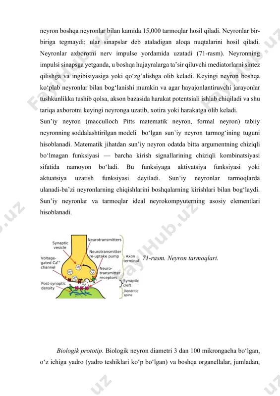 a’zi neyronlarning chiqishlarini boshqalarning kirishlari bilan bog‘laydi. sun’iy neyronlar va tarmoqlar ideal neyrokompyuterning asosiy elementlari hisoblanadi. 71-rasm. neyron tarmoqlari. biologik prototip. biologik neyron diametri 3 dan 100 mikrongacha bo‘lgan, o‘z ichiga yadro (yadro teshiklari ko‘p bo‘lgan) va boshqa organellalar, jumladan, faol ribosomalar, golji apparatlari bilan yuqori darajada rivojlangan dagal endoplazmatik reticulum organoidlarini va molukulyar jarayonlarni o‘z ichiga olgan organizmdan iborat. jarayonlarning ikki turi mavjud. akson bir tarmoqli bo‘lib, odatda neyron tanasida qo‘zg‘alishni o‘tkazish uchun moslashgan uzun nerv uchidir. dendritlar odatda qisqa va yuqori shoxlangan bo‘lib, ular neyronga ta’sir etuvchi qo‘zg‘aluvchan va ingibitor sinapslar hosil bo‘lishining asosiy joyi bo‘lib xizmat qiladi- turli neyronlar akson va dendritlar uzunligining turlicha nisbatiga ega boladi. neyron bir nechta dendritlarga va odatda faqat bitta aksonga ega bo‘lishi mumkin. bitta neyron 20,000 boshqa neyronlarga ulanishi mumkin. inson kontekstida 80 milliard neyron mavjud. rivojlanish tarixi. sun’iy neyronning birinchi matematik modelini w. mcculloch va w. pitts tomonidan tarmoq modeli …