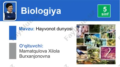 hayvonlarning tabiatdagi ahamiyati — PPTX