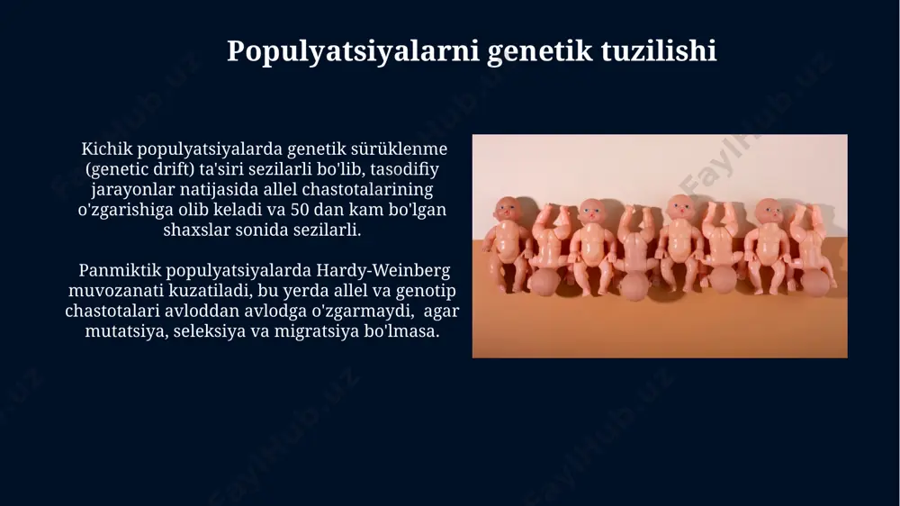 populyatsiya genetikasi - Page 4