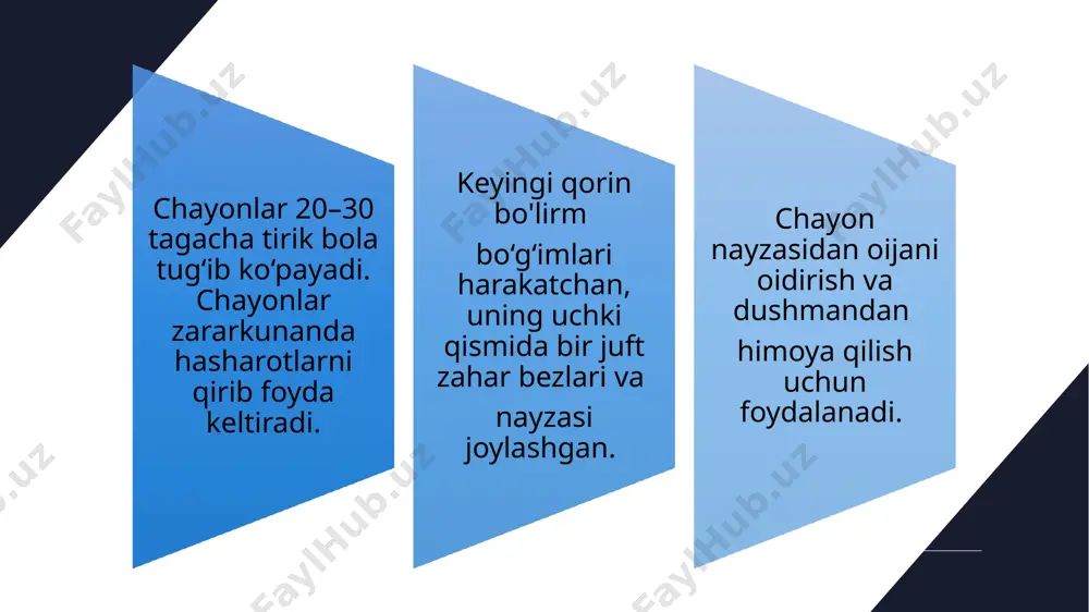 o‘rgimchaksimonlarning xilma-xilligi haqida - Page 5