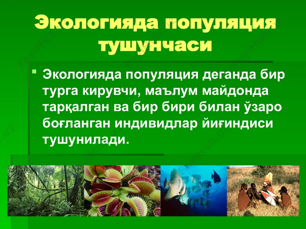 нинг нисбати биринчидан генетик қонуниятларга (жинсий хромосомаларнинг қўшилиши) боғлиқ бўлиб, популяциянинг эволюцияси учун урғочи организмларнинг сони муҳим аҳамиятга эга бўлади. масалан: одамлар популяциясининг потенциал ўсиши - ўсмир ва қарияларга нисбатан 15 ёшдан 35 ёшгача бўлган аёллар ҳисобига тўғри келар экан. иккинчидан, маълум даражада ташқи муҳит ҳам таъсир этиши мумкин. масалан: ўрмон чумолилари ҳарорат 20°с дан паст бўлганда фақат эркак, юқори ҳароратда деярли урғочи чумолилар ривожланади. популяциянинг фазовий тузилмаси 1.индивидлар бир текис тарқалганда. мевали дарахтлар боғда ўтказилгандек, бир-бирига нисбатан бир хил масофада жойлашади. табиатда бундай тарқалиш тури жуда кам бўлади. сунъий ташкил этилган ўрмонларда баланд дарахтларнинг жойланиши бир текис жойланишга тўғри келади. 2. тасодифий тарқалишда индивидлар бир-биридан ҳар хил масофада жойлашади. бундай жойлашиш популяциянинг зичлиги кам бўлган бир хил муҳитда учратилади. 3. табиатда гуруҳли тарқалиш тури кўп учрайди. бунда индивидлар туда ҳосил қилиб бир-биридан турлича масофада жойлашади. гуруҳли тарқалиш - нотекис муҳит таъсири натижасида, яъни муҳитнинг айрим бўлимларида қулай шароит бўлиши, …