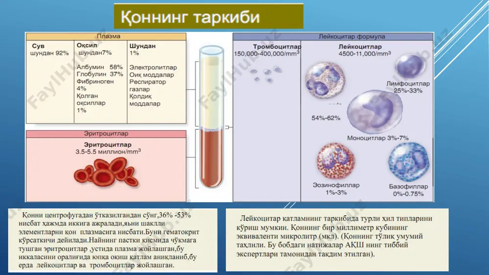 қон ва қон яратилиши - Page 3