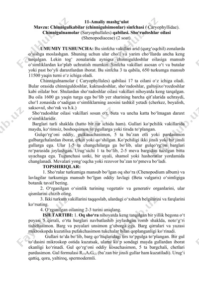 chinnigulkabilar (chinnigulsimonlar) sinfchasi ( caryophyllidae) — DOCX