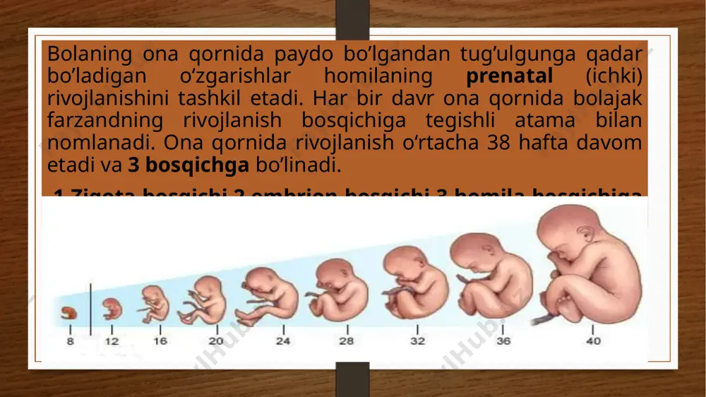 ’ilgan chaqaloqning vazni tez kamayib boradi kindik tushish davri organizmda keskin o’zgarishlar yuz berish pallasi hisoblanib, murg’ak organizmning mustaqil yashayotganidan dalolat beradi. bosh suyaklari peshona vatepa qismlari o’rtasida liqildoq deb ataladigan qalin parda va teri bilan qoplangan oraliq mavjud bo’ladi. miyyaning og’irligi chaqaloq tanasining sakkizdan bir va kata odamlarda esa qirqdan bir qismini tashkil qiladi. chaqaloqning og’irligi 3-5 kg bo’lishiga qaramay miyyasining og’irligi 300-350 gr tashkil qiladi. chaqaloqlik davrining kuchli jixatlari uning o’sish quvvatida o’z ifodasini topadi. har oyda 2 smdan o’sadi. uning og’irligi har kuni 1,6 -2 gramdan ortib boradi. tovush ta’siriga berilish 2 -3 haftalikda vujudga keladi. 1 oylik bo’lgan esa unda oryentir reflekslari nomoyin bo’ladi. chaqaloqlik davrining ham kuchli tomoni bo’lib bu bolaning uning o‘sish energiyasida namoyon bo‘ladi. bola tanasining og‘irligi hayotining birinchi yilida uch barobar ko‘payadi, bo‘yga nisbatan yetti oylik bola juda tez o‘sadi va sakkiz oylik bolganda, bo‘yi ikki barobar ortadi, o‘ttiz oyga yetganda to‘rt …