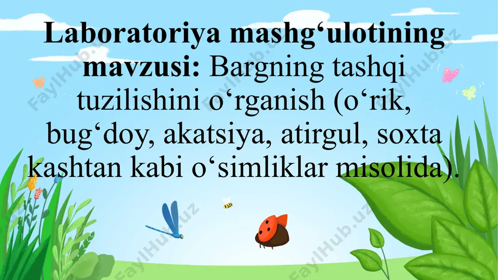 5 bandsiz 6 ketma-ket 7 qarama-qarshi 8 halqasimon 9 tomirlanish 10 barg og‘izchasi 2-uyga vazifa. bargning tashqi tuzilishiga doir o‘tilgan mavzularni qayta o‘qib takrorlang. e’tiboringiz uchun rahmat! yuksak marralarni zabt etishdan hech qachon to‘xtamang! image37.png image6.png image8.png image4.png image7.png image13.png image28.png image26.png image31.png image32.png image14.png image36.png image15.png image17.png image19.png image38.png image39.jpeg image40.jpeg image41.jpeg image42.jpeg image43.jpeg image44.jpeg image45.jpeg image46.jpeg image47.jpeg image1.jpg image2.png image3.png /docprops/thumbnail.jpeg