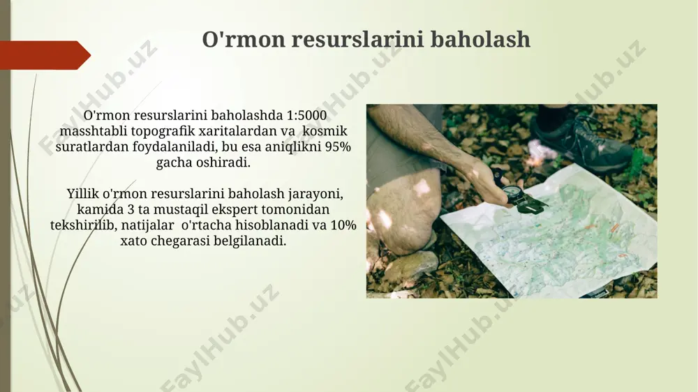 davlat oʻrmon kadastri yuritish tartibi - Page 5