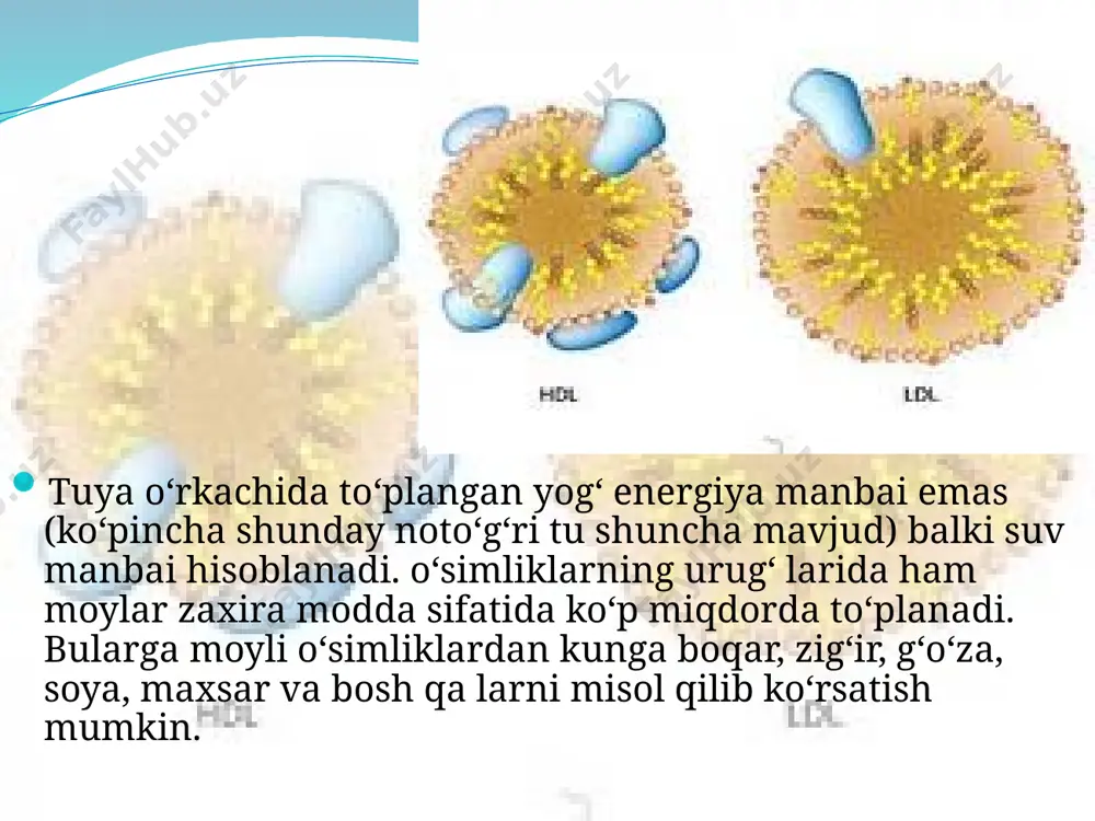 lipidlar. 9 - sinf - Page 5