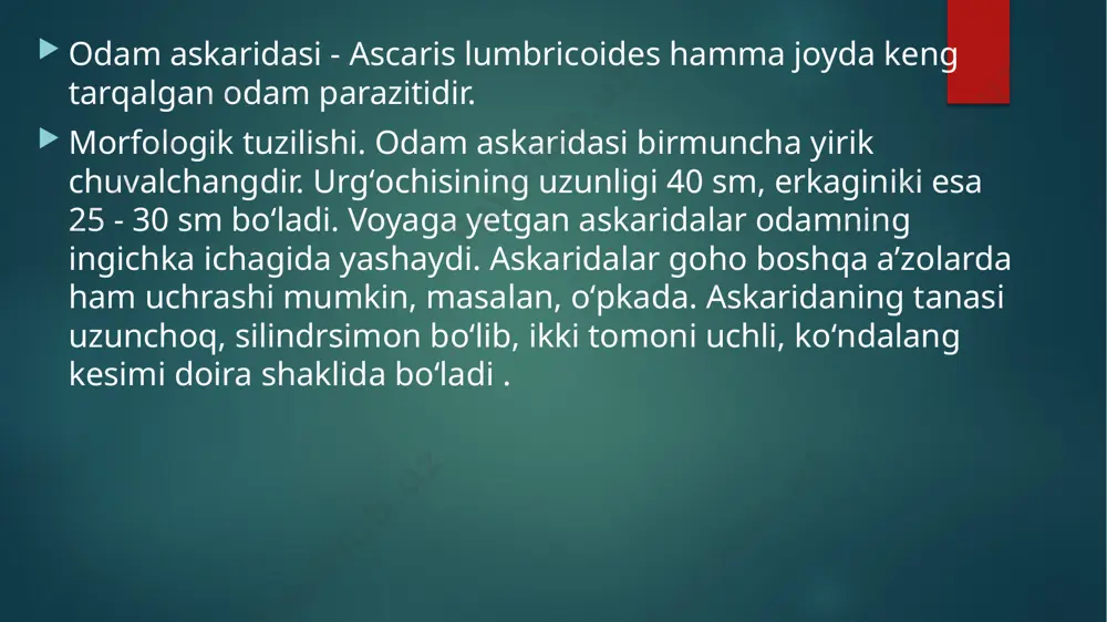 oʻsimtasida yashaydi. egri boshli gijja (ancylostoma duodenale). egri boshli (qiyshiq) gijja odamning oʻn ikki barmoq ichagida parazitlik qiladi, uning chaqiradigan kasalligini ankilostomidoz deyiladi. ankilostomidoz shaxtyorlar, yer qaziydigan ishchilar va qishloq, xoʻjaligi xodimlari orasida koʻproq uchraydi, baʼzi joylarda esa kasbga aloqador kasallik hisoblanadi. morfologik tuzilishi. urgʻochisining uzunligi 10 - 18 mm, erkaginiki esa 8 - 11 mm boʻladi. tanasining rangi oqimtir-kul rang boʻlib, bosh tomoni orqaga qarab egilgan, shu sababdan egri boshli yoki qiyshiq boshli gijja deyiladi. ogʻiz tomoni ogʻiz kapsulasi bilan oʻralgan boʻlib, uning ichida kutikulali tishlari joylashgan. ankilostomalar oʻn ikki barmoq ichakda yashab, uning shilliq qavatiga yopishib oladi va ogʻiz kapsulasidagi tishlari bilan ichak devorini shikastlaydi. hosil boʻlgan yaralardan qon oqadi, parazitlar shu qon bilan oziqlanadi. demak, ankilostoma qil boshli gijja singari, gematofagdir. ichak devoridagi yaralar yalligʻlanadi, yiringlaydi. urgʻochisida tanasining orqa tomoni uchli boʻlib, erkagida esa uchi kengaygan va jinsiy xaltachaga aylangan boʻladi. spikulalari - jinsiy kopulyativ apparat ikkita …