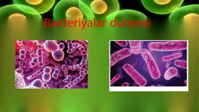 bakteriyalar dunyosi — PPTX