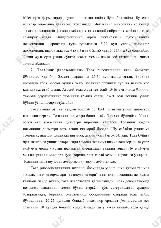 б, лалмикор ерларда ўстирилганда эса тахминан 10 кундан бошлаб содир бўлади ва у кўсак пишиб, тола ҳамда кўсак қуригунча давом этади. целюлозанинг жадал ҳосил бўлиш жараёни толанинг 40-45 кунлигидан бошлаб аста секин сусая бошлайди. толанинг ривожланиш даврида целюлоза деворчалари қатлам-қатламли мураккаб структурага эга бўлади. бу қатламлар 25-30 та целюлоза қаватларидан иборат бўлади. ђўза етиштирилган шароитга қараб толадаги целюлоза қаватлари турлича бўлади. 3. пишган ва пишмаган толалар. тола ичида бошқа ўсимлик ҳужайраларидаги каби ядро ва хужайра шираси бўлади. толанинг пишиб етилиш жараёнида ҳужайра ширасининг кимёвий таркиби ўзгаради. масалан: 35 кунлигида унинг таркибида шакар кўп тўпланади, маълум миқдорда тана ичидаги бўшлиқда ва кейинроқ бориб эса ҳатто унинг тўлиқ етилганида ҳам шакар борлиги кузатилади. тола деворчалари тола ривожланишининг бошланишидан тўла етилгунга қадар целюлоза тузилишида бўлади. тола ривожланишидан тўхтагандан кейин у чигит ва кўсак билан бирга қуриб бошлайди. бунда ҳужайра шираси боғланиб кетади, протоплазма қолдиқ эса тола деворчаларида қурийди. тола кўсак ёрилаётгандан кейин айниқса …