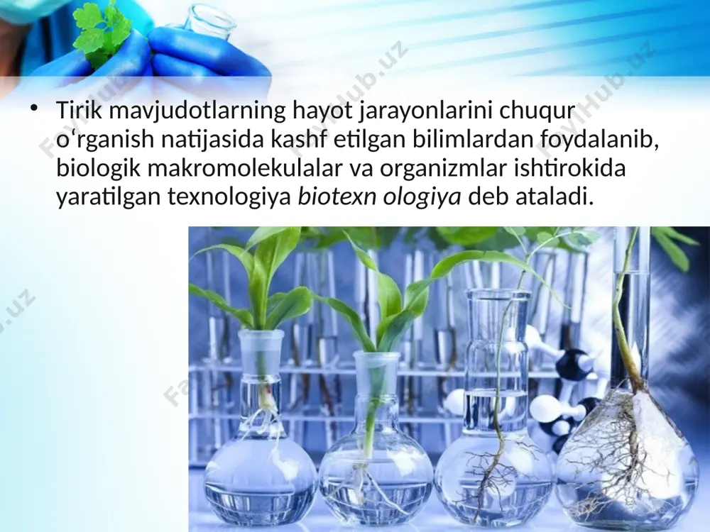 aviy biotexnologik usullar bilan gen muhandisligi yordamida farmatsevtika uchun interferonlar, insulin, soma totropin, gepatitga qarshi vaksina, fermentlar, klinik tadqiqotlar uchun diag nostik ashyolar (narkomaniya, gepatit va boshqa bir qator yuqumli kasalliklarni aniq lash uchun test tizimlar, biokimyoviy tekshirishlar uchun reaktivlar, egiluvchan biologik plastmassalar, antibiotiklar) ishlab chiqariladi. olimlar aniqlashicha, nonda oqsil miqdori unchalik ko‘p emas. shuningdek, nonda lizin, triptofan, metionin yetishmaydi. bu muammoni biotexnologik yo‘l bilan oson hal qilish mumkin. olimlar ta’kidlashlaricha, 1 t unga 150 gramm lizin qo‘shilganda nondagi oqsil sifati keskin oshishi aniqlangan. umuman, biotexnologiya va sanoat mikrobiologiyasining rivojlanishi faqat ko‘p tonnali qimmatli oziqa ishlab chiqarishni emas, balki turli xildagi fi ziologik faol moddalar ishlab chiqarish imkonini ham beradi. eng katta yutuqlar, bir tomondan, odam genomining to‘la ketma-ketligini aniqlash tufayli qo‘lga kiritilgan bo‘lsa, ikkinchi tomondan, o‘simliklarni urug‘dan unib chiqib, gullashi va meva berishigacha bo‘lgan barcha hayotiy jarayonlarni boshqaradigan taxminan 25 ming genlarning aniqlanishi sabab erishildi. gen muhandisligida keyingi paytlarda …