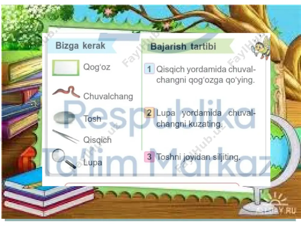 jonli va jonsiz tabiatni o‘rganamiz taqdimoti - Page 5