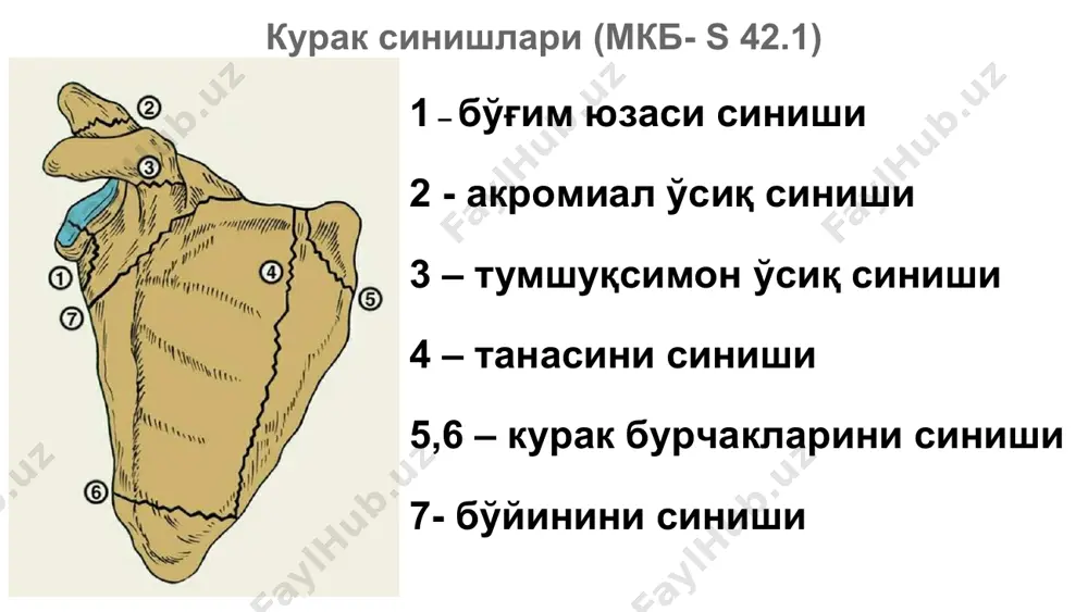 елка камари жарохатлари - Page 3