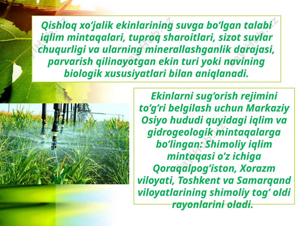 qishloq xo’jaligida sug’orishning fiziologik ahamiyati - Page 4
