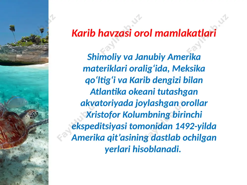 karib havzasi orol mamlakatlari. 10 - sinf - Page 3