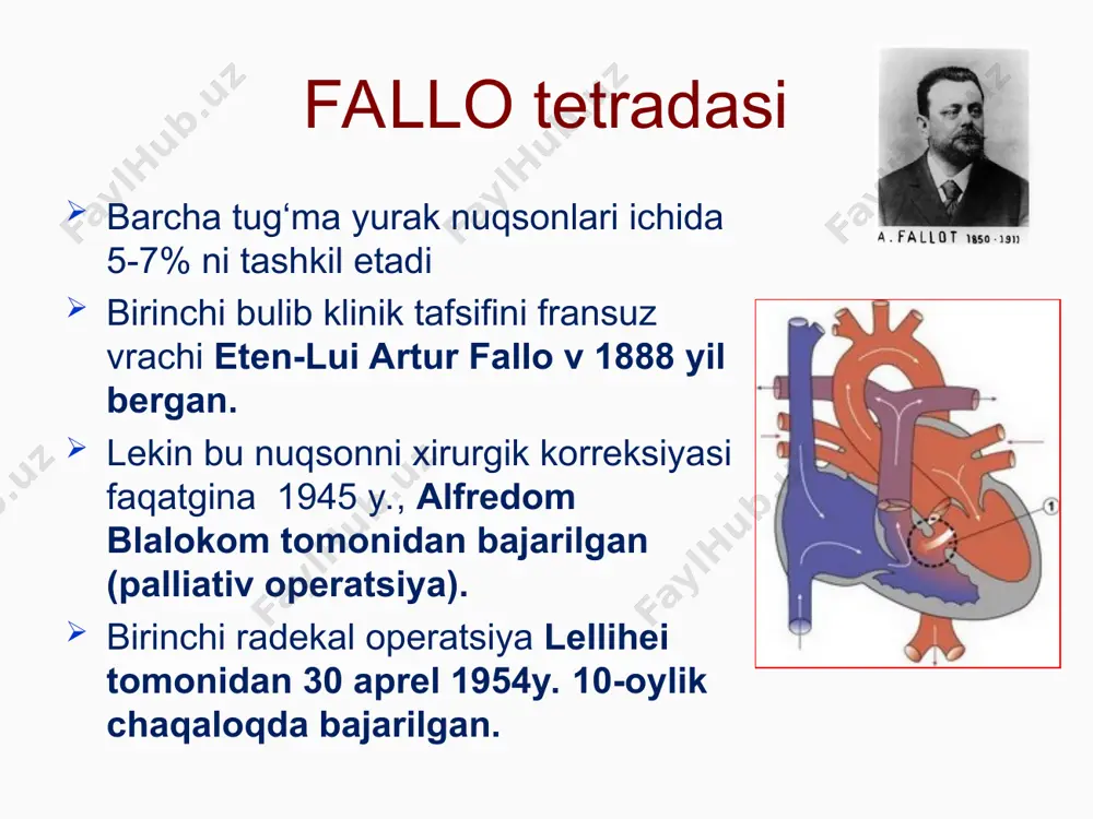perikard kasalliklari - Page 5