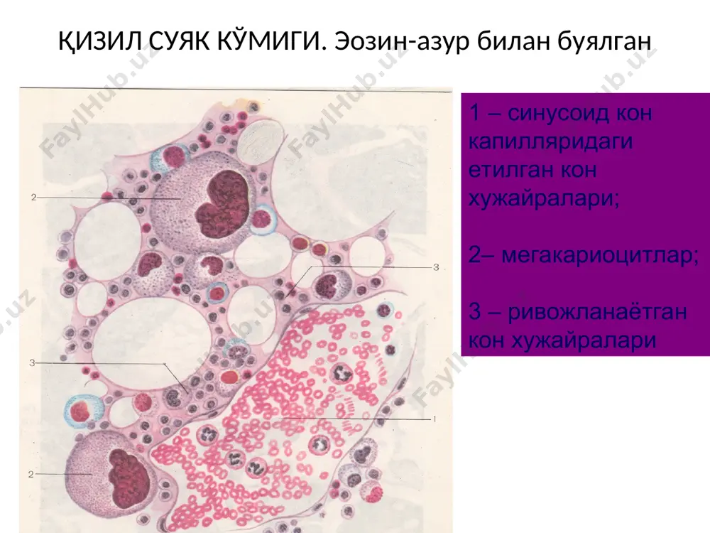 кизил суяк кумиги - Page 4
