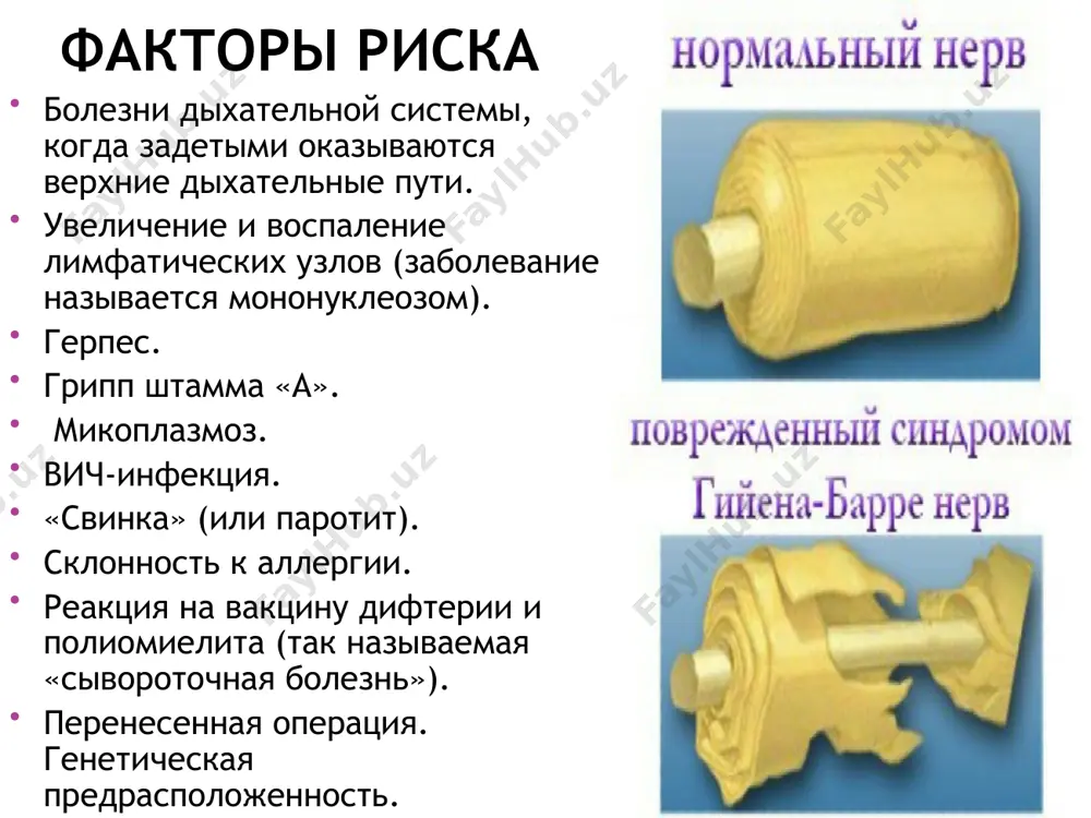 ivaet absolyutnoy, no obichno esli odna konechnost porajaetsya, to protivopolojnaya takje vovlekaetsya v protsess. 3. chuvstvitelnie narusheniya. 4 cherepnie nervi: xarakterno porajenie litsevogo nerva. 5. vosstanovlenie: obichno nachinaetsya cherez 2-4 nedeli posle prekrasheniya narastaniya zabolevaniya, no inogda mojet zaderjivatsya na neskolko mesyatsev. bolshinstvo bolnix xorosho vosstanavlivayutsya. 6. vegetativnie narusheniya: taxikardiya, aritmii, posturalnaya gipotenziya, gipertenziya, vazomotornie simptomi. 7. otsutstvie lixoradki v nachale zabolevaniya (nebolshoe chislo bolnix imeyut lixoradku v nachale zabolevaniya iz-za interkurrentnix infektsiy ili drugix prichin). lixoradka ne isklyuchaet sgb, no sta vit vopros o vozmojnosti drugogo zabolevaniya. b. varianti 1. tyajelie chuvstvitelnie narusheniya s bolevim komponentom. 2. progressirovanie bolee 4 nedel. inogda zabolevanie progressiruet mnogie nedeli ili nablyudayutsya nebolshie retsidivi. 3. prekrashenie narastaniya simptomov bez posleduyushego vosstanovleniya ili nebolshoe vosstanovlenie s tyajelimi ostatochnimi yavleniyami. 4. funktsii sfinkterov: inogda nablyudayutsya vremennie narusheniya mocheispuskaniya. 5. vovlechenie tsns: dokazatelstva vovlecheniya v protsess tsns - protivorechivi. u otdelnix bolnix otmechayutsya tyajelaya mozjechkovaya ataksiya, …