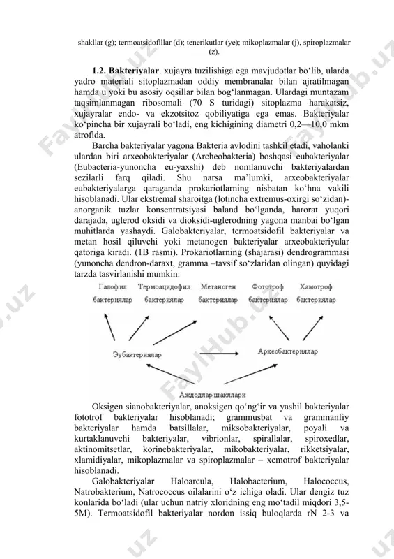 lda replikatsiya qiladi. viroidlar translyatsiya qilmaydi! bu ularning o‘zaro tarkibiy o‘xshashligi va qator viroidlarda tashabbuskor-kodonlar yo‘qligi bilan tasdiqlanadi. ayni vaqtda viroidli rnklarning polimeraz rnklar ishtirokida rnk matritsalar bilan izchilligi transkripsiyasi tufayli replikatsiyasi ro‘y beradi. 1-rasm. t2(a) bakteriofagi: 1-boshchani qoplab turuvchi kapsomerlar, 2-yoqacha, 3-bo‘yin, 4-g‘ovak sterjen, 5-g‘ilof, 6-iplar, 7-ikosaedrik boshcha; b mendsnikutlari (a-d): galobakteriyalar (a), metanobakteriyalar (b), vegetativ shakllar (v) va harakatsiz shakllar (g); termoatsidofillar (d); tenerikutlar (ye); mikoplazmalar (j), spiroplazmalar (z). 1.2. bakteriyalar. xujayra tuzilishiga ega mavjudotlar bo‘lib, ularda yadro materiali sitoplazmadan oddiy membranalar bilan ajratilmagan hamda u yoki bu asosiy oqsillar bilan bog‘lanmagan. ulardagi muntazam taqsimlanmagan ribosomali (70 s turidagi) sitoplazma harakatsiz, xujayralar endo- va ekzotsitoz qobiliyatiga ega emas. bakteriyalar ko‘pincha bir xujayrali bo‘ladi, eng kichigining diametri 0,2—10,0 mkm atrofida. barcha bakteriyalar yagona bakteria avlodini tashkil etadi, vaholanki ulardan biri arxeobakteriyalar (archeobakteria) boshqasi eubakteriyalar (eubacteria-yunoncha eu-yaxshi) deb nomlanuvchi bakteriyalardan sezilarli farq qiladi. shu narsa ma’lumki, arxeobakteriyalar eubakteriyalarga qaraganda prokariotlarning …