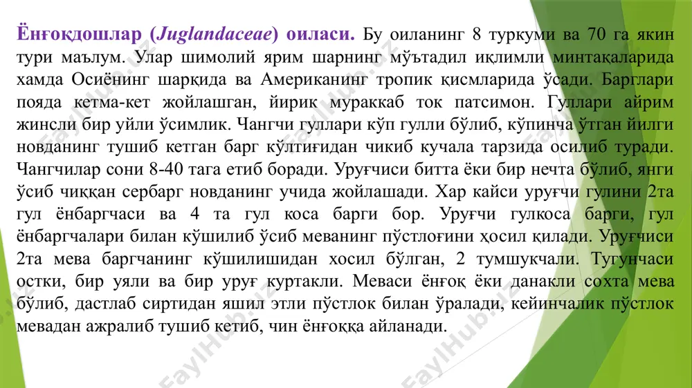 в тизма тоғларининг денгиз сатхида 800-2000 (2500)м баландликларидаги коракўнғир тупрокли ёнбағирликларида учрайди. 3 ахамияти: ўзбекистондаги ёнғокзорларнинг майдони 18000 гектардан кўпроқ бўлиб, хар гектаридан 300-500 кг ҳосил олиш мумкин. ёнғок мағзида 77% ёғ, 20% протеин, краxмал, саxароза, глюкоза, 5% қанд, 23% азотли, 13% азотсиз моддалар, а,б,с витаминлари бўлади. ёнғокнинг пўстлоғи яшил мевасининг пўстида 25%, баргида 12% танид моддаси-югландин бўёқ мавжуд. ёнғокзорлар майдонини кўпайтириш зарур. ёнғокнинг пишган мағзи истеъмол қилинади ва кўплаб кондитер маҳсулотлари тайёрланади. ёнғоқ танаси хар xил буюмларни тайёрлашда ишлатилади. мевасининг яшил пўсти, барглари ва пўстлоғидан ошловчи модда ва жигар ранг бўёк олинади. ёнғокнинг табиий таркалган худудлари марказий осиё, эрон, афғонистон, химолой ва тибетнинг ғарбий кисмлари хисобланади. ҳозирги кунда ёнғоқ деярли хамма жойларда экилади. бунинг натижасида ёнғокнинг навлари анча кўпайган. марказий осиё худудида ёнғокдан ўрмонлар ёнғокзорлар денгиз сатҳидан 1000-2000 хатто 2300 м баландликларда хам таркалган. пекан зайтун ёнғоқ — ёнғоқдошлар оиласи кария туркумига мансуб ёнғоқ мевали дарахт. ватани — шимолий …