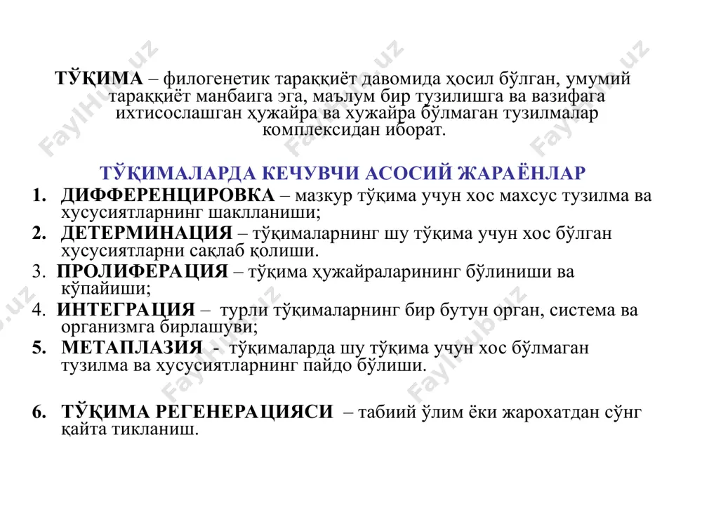 енерацияси * базал мембрана электрон оч (l.lucida) ва электрон тўқ (l.densa) пластинкалардан иборат l.lucida кальций ионларига бой аморф моддадан иборат, l.densa аморф моддаси гликопротеин, протеогликан, глиозаминогликанларга бой ва базал мембранага механик пишиқлик берувчи фибрилляр тузилмалар (iv тип коллаген) тутади. базал мембрана оқсиллари: - гликопротеинлар (фибронектин, ламинин) - кальций ионлари билан биргаликда эпителий хужайраларини базал мембранага ёпишишини, шунингдек, регенерацияда эпителий хужайраларининг пролиферацияси ва дифференциаллашувини таъминлайди; - протеогликан ва гликозаминогликанлар мембрананинг таранглигини ва унинг манфий зарядланишини таъминлайди. базал мембрана жиякли эпителий ҳужайрасининг 3d модели эпителий тўқимаси эпителий ҳужайраларининг қутблилиги ҳужайранинг апикал қисми ҳужайранинг базал қисми микроворсинкалар (жиякли ҳошия) ҳужайра ядроси базал мембрана эпителий тўқимаси классификацияси морфофункционал бир қаватли - бир қаторли: ясси, кубсимон, призматик - кўп қаторли: призматик киприкли хилпилловчи кўп қаватли - кўп қаватли ясси мугузланувчи - кўп қаватли ясси мугузланмайдиган - ўзгарувчан онтофилогенетик эпидермал (тараққиёт манбаи – эктодерма, тери, вазифаси - химоя) энтеродермал (тарақиёт манбаи – энтодерма, ичак, вазифаси – …