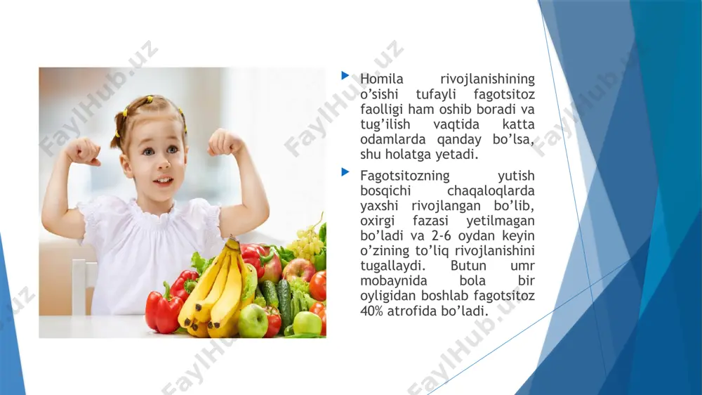 adi. uning ta`siri ig a ajralishini kuchaytiradi. lizotsim so`lakda, ko`z yoshida, ley­kotsitlarda, qon zardobida, ko`krak sutida, yurak va jigar hujayralarida, ichak va nafas olish yo`li shilliq qavati ajralmalarida mavjud. lizotsim darajasi chaqaloqlarda yuqori, lekin keyinchalik birmuncha kamayadi. interferonlar — (α — alfa, (β — beta, ɣ — gamma) virus replikatsiyasi vaqtida samarali bo`lgan virusga qarshi xususiyatga ega oqsil. ular barcha hujayralardan ajralishga qodir ammo, ular leykotsitlardan ko`proq ajralib chiqariladi. deyarli barcha viruslarga tasir qiladibundan tashqari interferonlar: xlamidiya, malyariya plazmodiya, rikketsiya hujayra ichida ko`payishiga to`sqinlik qiladi; hujayrani ekzo- va endotoksinlar tasiriga chidamliligini oshiradi; fagotsitozni kuchaytiradi; limfotsitlar sitotoksikligini oshiradi; o`sma hujayralari o`sishini tormozlaydi; antitelolar sintezini boshqaradi (kam dozada stimullaydi va yuqori dozada bostiradi). yangi tug`ilgan chaqaloqlarda interferonni ajratish qobiliyati past bo`ladi va pubertat davrda maksimal darajaga etadi. immun himoyaning maxsus mexanizmlari immun tizimi tananing o`ziga xos himoyasini ta`minlaydi. immun sistema — barcha limfa organlari va limfoid hujayralar to`plamining majmuasidir. markaziy (qizil suyak …