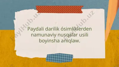 darilik osimliklari — PPTX