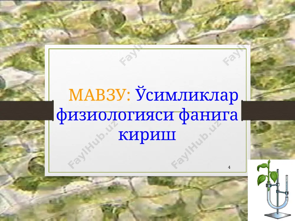 клар физиологиясидан биринчи ўқув китобини ёзди. у фотосинтез ва ўсимликлардаги модда алмашинув жараёнларини аниқлаш бўйича тажрибалар ўтказди, сунъий ёруғликда ҳам ўсимликлар карбонат ангидридни ўзлаштириб, крахмал ҳосил қилишини кўрсатди. * а.с.фаминцин россия фанлар академияси тизимидаги ягона ўсимликлар анатомияси ва физиологияси лабораториясини ташкил этди. шу лабораторияда 1892 йилда д.и.ивановский вирусларни кашф этди. 1903 йилда эса м.с.цвет ўсимлик пигментлари ва уларга яқин бўлган табиий бирикмаларни ажратиш учун хромотография усулини ишлаб чиқди. бу усул ёрдамида у хлорофиллни биринчи бўлиб хлорофилл “а” ва хлорофилл “б” га ажратди. * к.а.тимирязев янги физик ва кимёвий усулларни қўллаш натижасида фотосинтезнинг муҳим қонуниятларини аниқлашга муваффақ бўлди, хлорофиллнинг физикавий ва кимёвий хоссаларини ўрганишга катта ҳисса қўшди. фотосинтезнинг ёруғлик жадаллигига, спектрал таркибига ва қуёш ёруғлигининг энергиясига боғлиқ эканлигини аниқ тажрибалар орқали исботлади. * к.а.тимирязев фотосинтез жараёнини 3 та қонуният асосида боришини кўрсатиб берди: 1). фотосинтез жараёни фақат хлорофилл молекулалари томонидан ютилган нур энергияси ҳисобига боради; 2). фотосинтез жадаллиги ютилган нур энергияси …