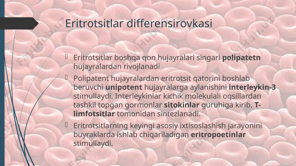 eritrotsitlar biokimyosi - Page 3