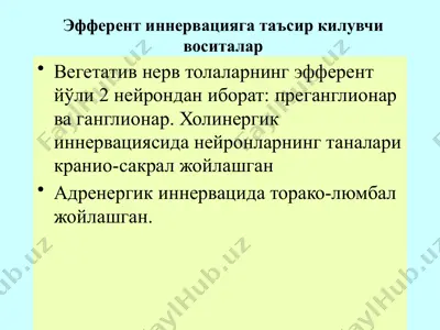 эфферент иннервацияга таъсир килувчи воситалар — PPTX