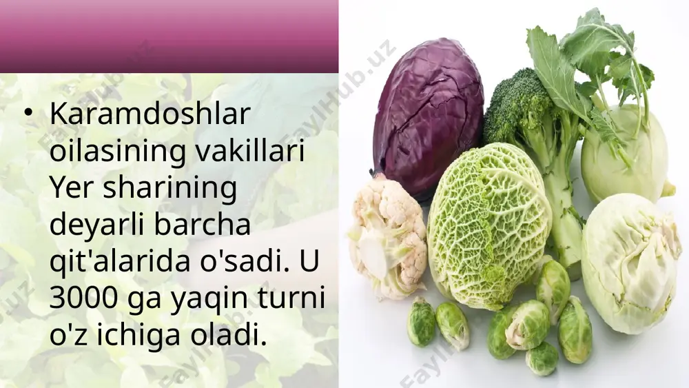 karamdoshlar oilasi. 6 - sinf - Page 3