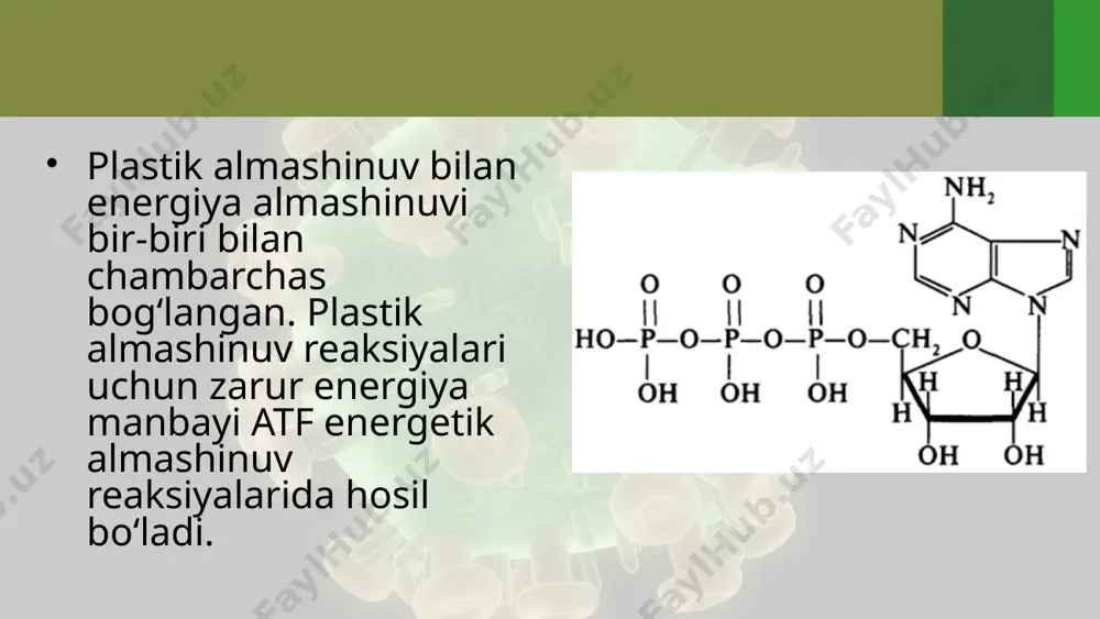 moddalar almashinuvi – hujayra hayotiy faoliyatining asosi. 10 - sinf - Page 5