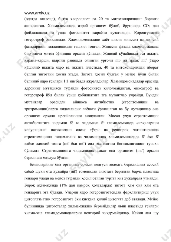 копуляцияда қатнашган иккита хламидомонада генларининг ажралиши митотик кроссинговерда яъни центромери билан қўшилган хроматидаларнинг қўшилиб «хроматидалар» тетрадасини ҳосил қилиш мобайнида амалга ошади. митохондрияларни ирсийланишини биринчи маротаба хх асрнинг 50 йилларида эфрусси ва слонимский томонидан ўрганилган. улар ачитқи замбуруғларида нормал формалар билан бирга кичик ҳажмли митти мутант ачитқилар борлигини аниқлаганлар. бундай мутант формалар вегетатив урчиш мобайнида ҳосил бўлишини эътиборга олиб улар «вегетатив митти» ачитқилар деб номланди. вегетатив митти ачитқи замбуруғларидан ташқари бошқа мутант ядро генларини ўзгариши туфайли ҳосил бўлган митти ачитқи замбуруғлар ҳам тажрибада олинди. одатда ачитқи замбуруғлари чатиштирилганда иккита организм цитоплазмаси ва ядроси зигота ҳосил бўлишида тўлиқ қатнашади. шунга қарамай мутант ва нормал ачитқи замбуруғлар ирсийланишида ядро ҳамда цитоплазманинг ролини алоҳида-алоҳида баҳолаш мумкин. 195 расмда митти вегетатив ҳамда хилма-хиллик берувчи ачитқи замбуруғларининг нормал формалари билан чатиштириш натижалари берилган. бу митти ачитқи замбуруғи нормал катталикдаги ачитқи замбуруғи билан чатиштирилса ҳосил бўлган диплоид тўпламли зигота икки хил гаплоид спораларни ҳосил қилади. уларни 50% …