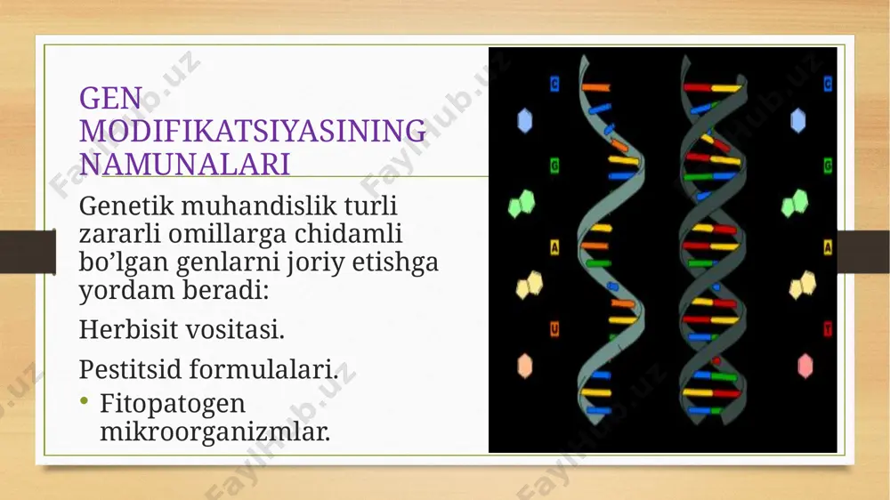 biy-genetik protseduralarda, shu jumladan sinov va davolashda ixtiyoriy ishtiroki. davlat, jamiyat, shifokorlar tomonidan har qanday majburlashni bartaraf etish. 3. insonning bilim darajasidan qat’i nazar uning shaxsiga hurmat. genetika sohasida jamiyatning barcha a’zolari: shifokorlar, o’qituvchilar, ruhoniylar va boshqalar uchun ta’lim olish imkoniyati. 4. ozchiliklarning qarashlariga hurmat 5. bemorlarni va ularning qarindoshlarini birlashtirgan tashkilotlar bilan yaqin hamkorlik. 6. ish bilan ta’minlash, sug’urta qilish yoki o’qitish jarayonida genetik ma’lumotlarga asoslangan kamsitishlarning oldini olish. 7. irsiy kasalliklarga chalingan bemorlarga va ularning oilalariga tibbiy va ijtimoiy yordamning barcha turlarini ko’rsatish uchun boshqa kasb vakillari bilan hamkorlik qilish. 8. bemor bilan muloqot qilishda aniq, tushunarli tildan foydalanish. 9. bemorlarni zarur yordam yoki qo’llab-quvvatlovchi davolanish bilan muntazam ta’minlash 10. tibbiy jihatdan zarur bo’lmagan testlardan yoki protseduralardan bosh tortish. 11. genetik xizmatlar va protseduralar sifatini doimiy nazorat qilib boradi hozirgi kunda aqsh, evropa mamlakatlari va rossiyada “inson genomi” xalqaro dasturi amalga oshirilmoqda, uning maqsadlaridan biri insonning barcha dnklarining …