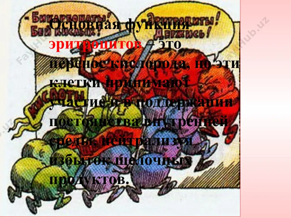 krov': yëyo stroenije i funktsii - Page 5