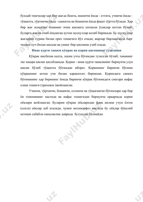 ига уни тортиб тура оладиган кучли мускуллар келиб бирикади. қурт ҳаракат қилаётганда ва тинч турганда фақат қорин оёқларига, айниқса, қориннинг бешинчи, олтинчи ва тўққизинчи бўғимларидаги оёқларига таянади. қорининг бу қисми (кетинги) қурт танасининг таянч қисми ҳисобланади. боши, кўкрак ва қориннинг олдинги бўғимлари тананинг ҳаракатчан қисмидир. 4-расм.тут ипак қуртининг ташқи кўриниши. урғочи қуртнинг қорин томондаги саккизинчи ва тўққизинчи бўғимларида икки жуфт ишиват диски бор. бу дисклар ўртаси нуқтали доира шаклига эга. булар саккизинчи бўғимда тахминан ўртада, тўққизинчида эса олдинги чегарада, қорин оёқларининг асосига яқин жойда бўлади. дисклар бешинчи ёшнинг бошларида ва ўрталарида айниқса яхши кўринади; бу вақтда қуртнинг жинсини осонгина аниқлаш мумкин: урғочиларда диск бўлади, эркакларида эса бўлмайди оддий кўз жағлари қорин қисмининг бўғимлари анал тешиги бош қисми кўкрак бўғимлари чин оёқлари нафас олиш тешикчалари сохта оёқлари 5-расм.ипак қуртини ташқи кўриниши тут ипак қуртининг ички – анатомик тузилиши тери қоплами ва мускуллари 1. тери қоплами. ипак қуртининг тери қоплами 3 та …