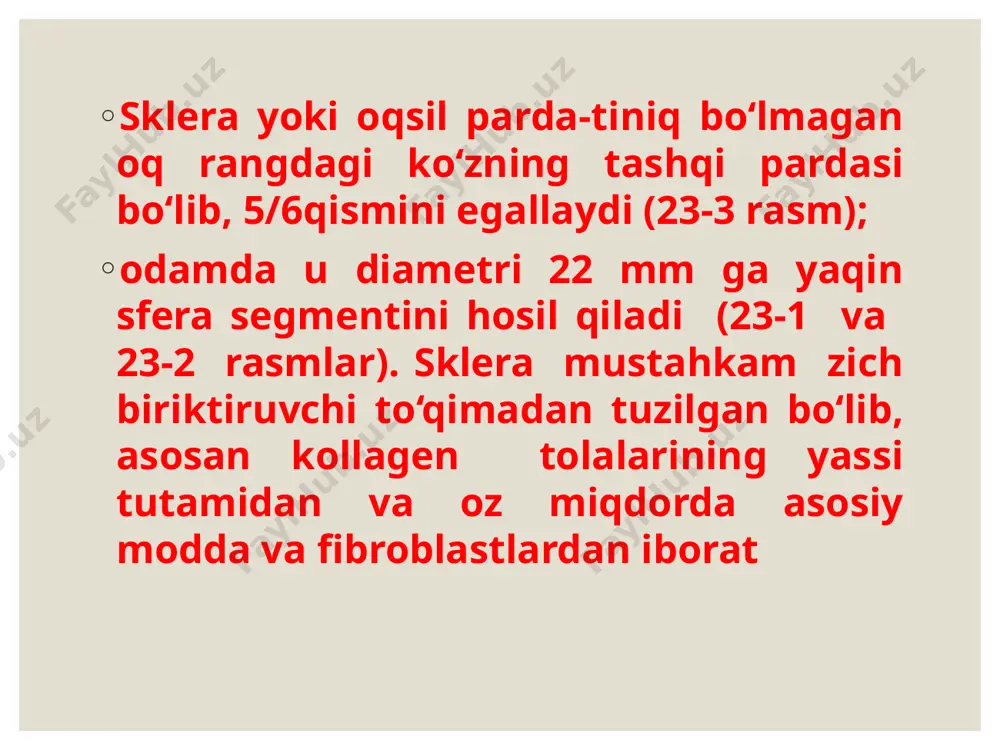 fotoretsepsiyaning morfologik asoslari - Page 4