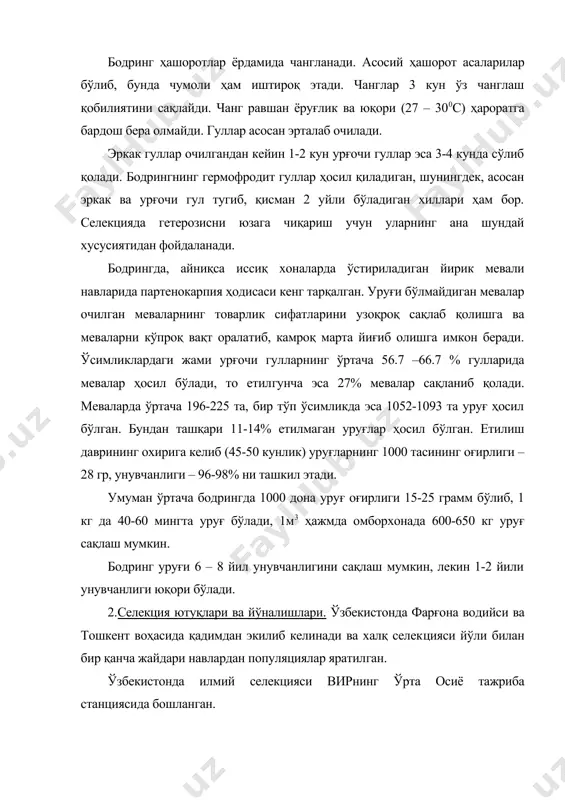 р, товар сифати яхши мева берадиган, маҳаллий шароитга мос ва транспортда ташиш учун мос навлар яра​тиш селекциянинг асосий вазифаларидан ҳисобланади. бундан ташқари очиқ майдонларда – ғалла, сабзавот экинларидан кейин пишиб етиладиган, такрорий экин учун мос, тезпишар, ҳосилни 1-2 терилгандан кейин ёппасига йиғиштириб олишга мослашган на​в-лар яратиш мақсадга мувофиқ. ёпиқ грунт учун – йилнинг турли фаслларида ўса оладиган, ҳар хил иншоотлар учун мос, тезпишарлиги бўйича ҳар хил, кўпроқ урғочи гуллар ҳосил қиладиган, совуққа ва кескин ҳарорат ўзгаришга чидамли навлар қимматлидир. бодринг селекцияси усуллари селекция ишининг йўналишга қараб белгиланади. жайдари навларни яхшилашда – уруғларнинг ярмини экиш усу​лидаги оилавий танлаш усуллари, сўнгра яхшиловчи оммавий танлаш усули кўпроқ самара беради. дастлабки популяциялар яратишда – по​липлодия, мутация,тўқима экини, ген инженерияси усулларидан кенг фойдаланилмоқда. бодринг селекциясининг асосий усулларидан бири дурагайлаш​дир. бунинг учун аввал навнинг модели яратилиб, ота ва она жуфт​лари танланиб, танлаш усуллари ишлаб чиқилади. бодринг селекцияси жараёни қўйидагича: колекцион (питомник) ёки дурагай питомник, селекцион питомник, …