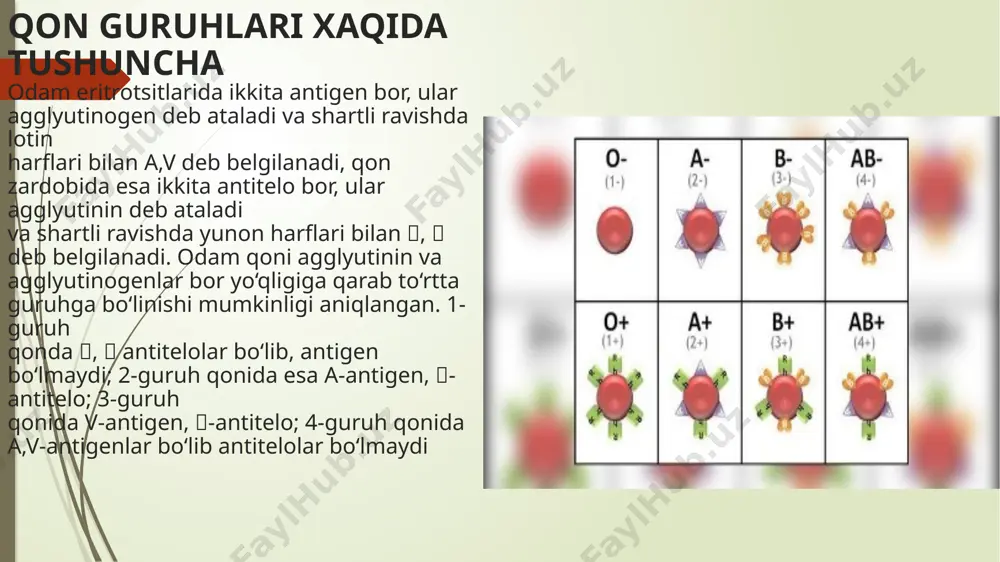h uchun: o(i), a(ii), b(iii) va ab(iv) guruhga tegishli bo‘lgan ikkita seriyali standart zardoblar bo‘lishi zarur. zardoblar 4 - 8os haroratli muzlatgichda saqlanishi va 1:16 – 1:32 nisbatdan suyuq bo‘lgan holda eritilgan bo‘lishi zarur. standart zardoblar tiniq, hidsiz hamda kerakli rangga bo‘yalgan bo‘lishi kerak ( o(i) – rangsiz, a(ii) – ko‘k rang, b(iii) – qizil rang, ab(iv) – sariq rang). sinama uchun: - oq farfor yoki emallangan maxsus tarelkalar; - natriy xlorning izotonik eritmasi; - ninalar, pipetkalar, chinni (shisha) tayoqchalar zarur. sinama qo‘yish texnikasi 1. likopchaning maxsus, qon guruhlari yozib belgilangan katakchalariga tegishli zardoblardan 0.1 mldan quyiladi. sistema iloji boricha 2 ta seriyali zardoblar yordamida o‘tkaziladi. 2. tekshirish uchun qon barmoq yoki venadan olinadi va 0,01 mldan har bir katakchaga tomiziladi. zardob miqdori qon miqdoridan 10 marta ko‘p bo‘lishi zarur. keyin zardob va qon tomchilari bir – biri bilan aralashtiriladi. 3. tomchilarni aralashtirgandan so‘ng kamida 5 minut davomida kuzatiladi. 4. …