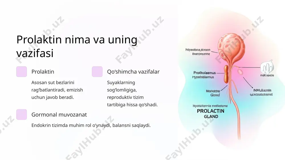 piyasi kamdan-kam hollarda, murakkab holatlarda ishlatiladi. 3 7 davolashning nojo'ya ta'sirlari va ularni boshqarish dorilardan kelib chiqadigan noxushliklar bosh aylanishi, ko'ngil aynishi, burun quruqligi odatiy. jarrohlikdan keyingi asoratlar gormon muvozanati o‘zgarishi va infektsiya xavfi mavjud. yorliq va monitoring doimiy shifokor nazorati va simptomlar boshqaruvi zarur. 8 prolaktinoma bilan yashash: maslahatlar va tavsiyalar rejim va parhez sut mahsulotlari va kaltsiyga boy taomlar tavsiya etiladi. faol hayot tarzi yengil jismoniy mashqlar va stressni kamaytirish muhim. doimiy tibbiy tekshiruv gormon darajasini muntazam kuzatib borish kerak. 9 xulosa: asosiy fikrlar va keyingi qadamlar 1 prolaktinoma diagnostikasi qon testlari va mri aniqlik bilan tashxis qo‘yadi. 2 davolash samarasini oshirish doimiy monitoring va shifokor maslahatiga rioya qilish. 3 hayot sifatini yaxshilash to‘g‘ri parhez va faol hayot muhim omillar sanaladi. keyingi qadam: shifokor bilan maslahatlashib, individual davolash rejasi tuzish. 10 image1.png image2.png image3.png image4.png image5.png image6.png image7.png image8.png image9.png image10.png image11.png image12.png image13.png image14.png image15.png